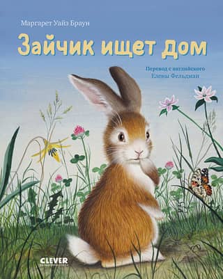 The bunny is looking for a home