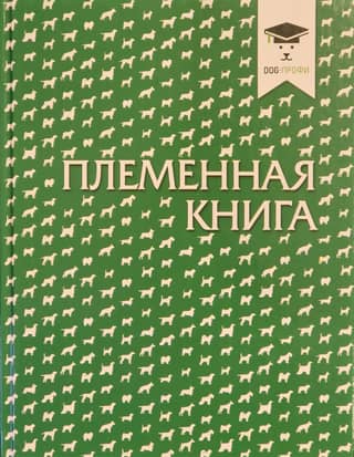 Ciltsgrāmata