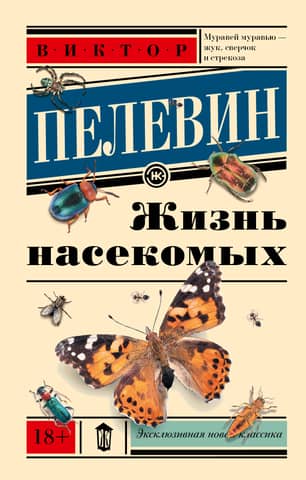 Life of insects