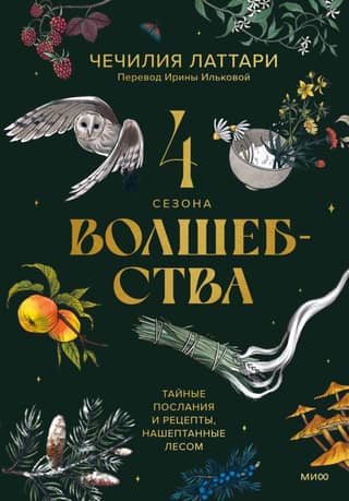 4 Seasons of Magic: Secret Messages and Recipes Whispered by the Forest