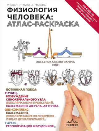 Human Physiology: A Coloring Atlas