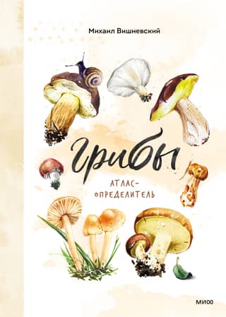 Mushrooms. A Guide to Mushrooms