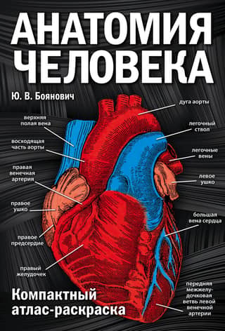 Human Anatomy: A Compact Coloring Atlas
