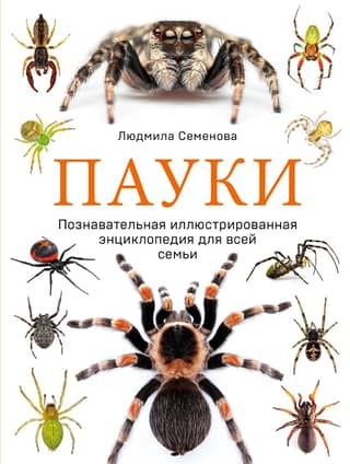 Spiders: An Educational Illustrated Encyclopedia for the Whole Family