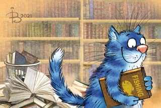 Pastkarte. Zilie kaķi. Bibliotēka.