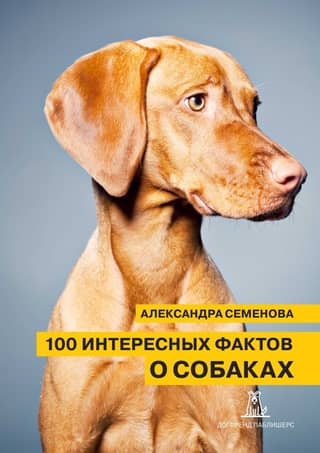 100 Interesting Facts About Dogs