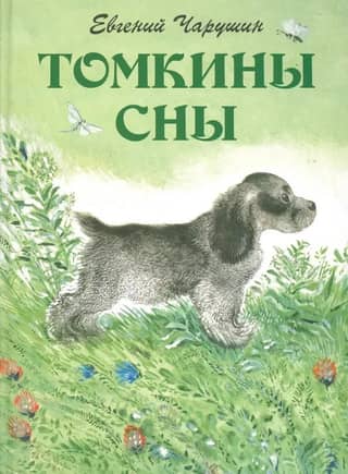 Tomkin's dreams
