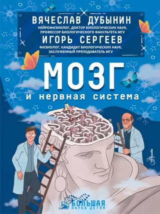 Brain and nervous system