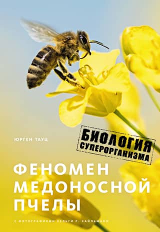 The Honey Bee Phenomenon: The Biology of a Superorganism