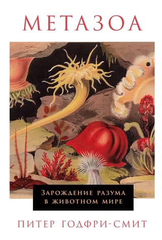 Metazoa: The Emergence of Intelligence in the Animal Kingdom