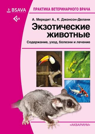 Exotic Pets: Care, Maintenance, Diseases, and Treatment