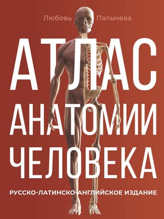 Atlas of Human Anatomy. Russian-Latin-English edition