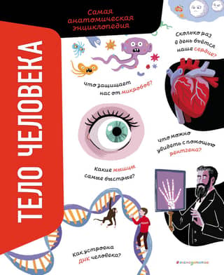 The Human Body: The Ultimate Anatomical Encyclopedia