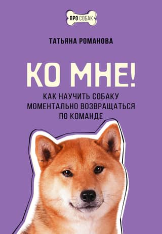 Come to me! How to teach a dog to return immediately on command