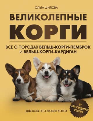 Magnificent Corgis. All about the Pembroke Welsh Corgi and Cardigan Welsh Corgi breeds.