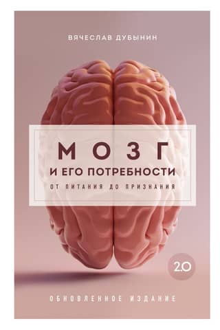 The Brain and Its Needs 2.0: From Nutrition to Recognition