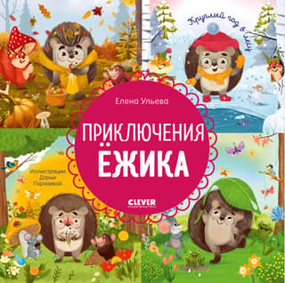 Hedgehog's Adventures: All Year Round in the Forest