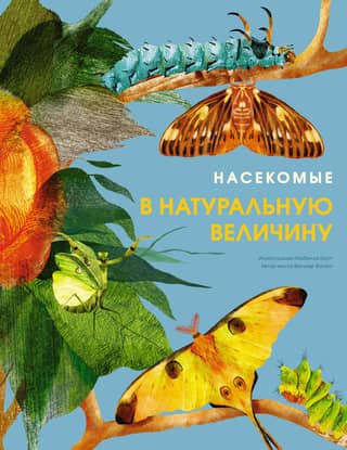 Life-size insects