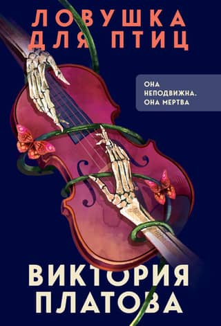 Bird trap
