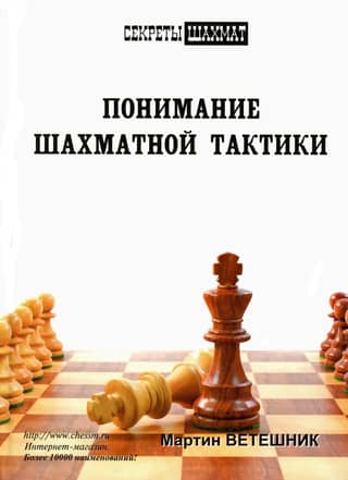 Understanding Chess Tactics