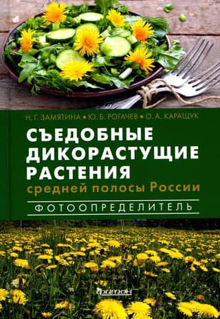 Edible wild plants of central Russia. Photo guide