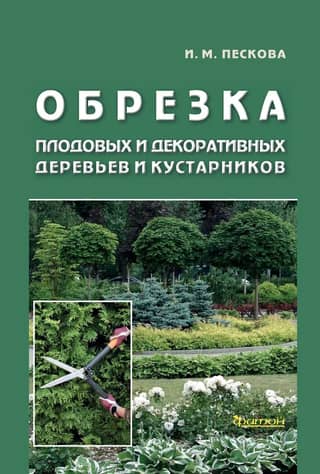 Pruning of fruit and ornamental trees and shrubs