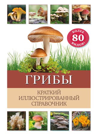 Mushrooms: A Brief Illustrated Guide