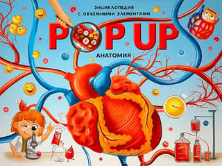Анатомия. Книжка-панорамка