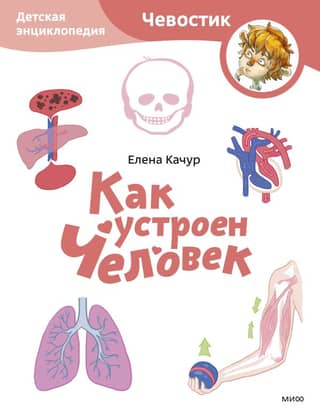 How Humans Work. Children's Encyclopedia