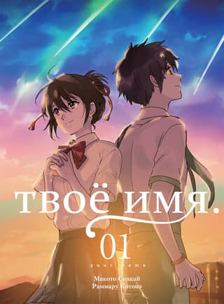 Your Name. Volume 1. Manga