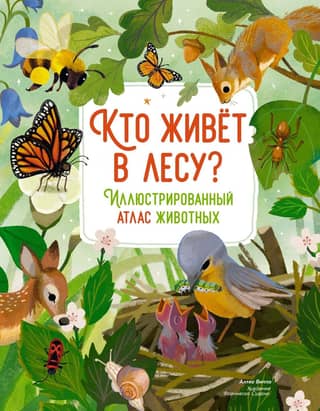 Who Lives in the Forest? An Illustrated Atlas of Animals