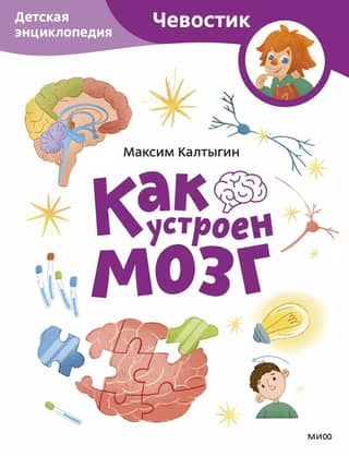 How the Brain Works: A Children's Encyclopedia