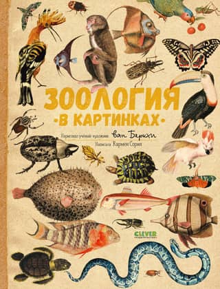 Zoology in Pictures