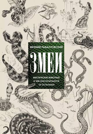 Snakes: Mystical Animals and How They Differ from Others