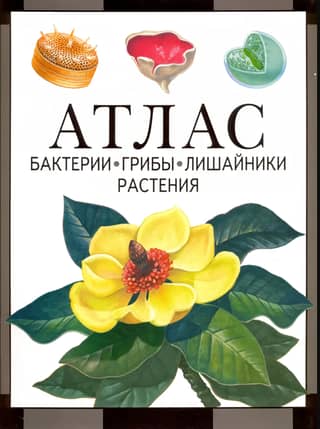 Bacteria, Fungi, Lichens, Plants. Atlas