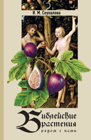 Biblical plants near us