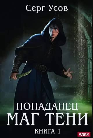 The Time Traveler. Shadow Mage. Book 1