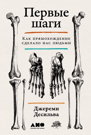 First Steps: How Walking Upright Made Us Human