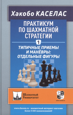 Chess Strategy Workshop 1. Typical Techniques and Maneuvers: Individual Pieces