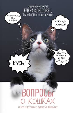 Questions about cats. The most interesting facts about our furry pets.