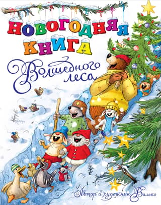 The New Year's Book of the Magic Forest