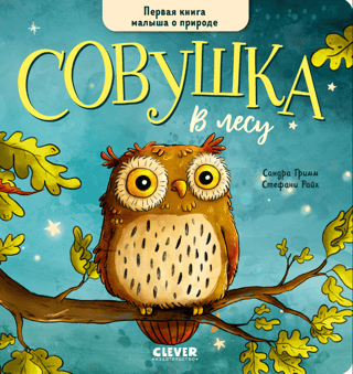 Little Owl in the Forest: A Child's First Nature Book