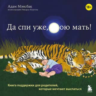 Go to sleep already, for fuck's sake! A support book for parents who dream of getting a good night's sleep.