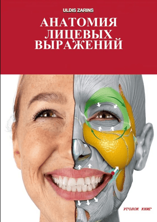 Anatomy of Facial Expressions