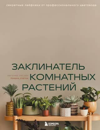 Houseplant Whisperer: Secret Life Hacks from a Professional Florist