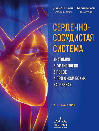 Cardiovascular System: Anatomy and Physiology at Rest and During Exercise