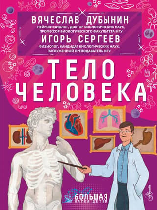 The human body