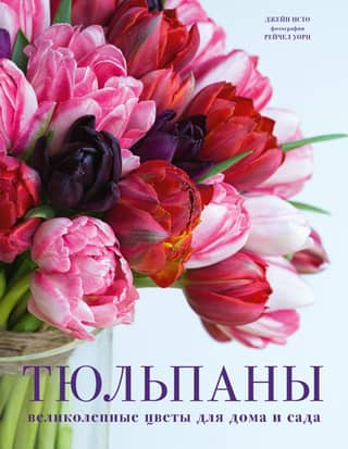 Tulips. Magnificent flowers for the home and garden.