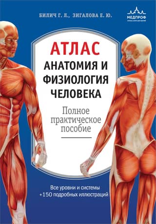 Atlas. Human Anatomy and Physiology: A Complete Practical Guide
