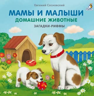 Mothers and Babies. Pets. Rhyming Riddles